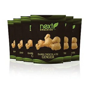 Next Organics _[N`R[gŕꂽWW[ LfBA4 IX -- 1 P[X 6 B Next Organics Dark Chocolate Covered Ginger Candy, 4 Ounce -- 6 per case.