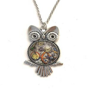 X`[pNȃtNẼlbNX-ԂƎv- Fern & Filigree Steampunk Owl Necklace - Gears and Clocks - Handmade
