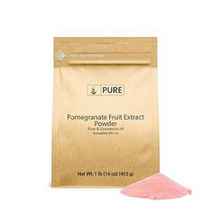 1 Pound (Pack of 1), Pomegranate, Pure Original Ingredients Pomegranate Fruit Extract Powder (1 lb) Always Pure, Unsweetened, Smoothie Mix-In