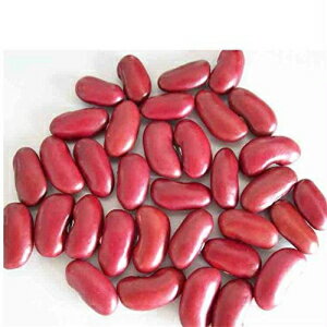 バルク有機赤インゲン豆、1ポンド BULK Organic Red Kidney Bean, 1 LB