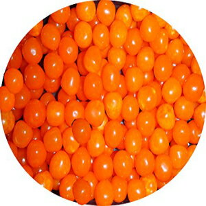 スイートサワーボール オレンジ 1ポンド (16オンス) Sweet's Sour Balls Orange 1 Pound (16 OZ)