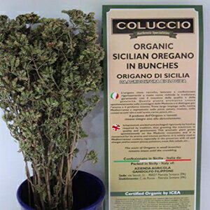 シチリア ブランチ オレガノ - 認定オーガニック - Coluccio から輸入 Sicilian Branch Oregano - Certified Organic -imported by Coluccio