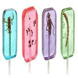 4 Count (Pack of 1), Insect Sucker Lollipop Bundle - Pack of 4 - Scorpion, Ants, Cricket, And Worm - Flavors Vary - With Licensed Sticker