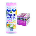 C2O sARRibcEH[^[AWW[ACA^[bN | Ax[X | `qg݊ | sgp | K{d | 17.5 tʃIX (12 pbN) C2O Pure Coconut Water with Ginger, Lime & Turmeric | Plant