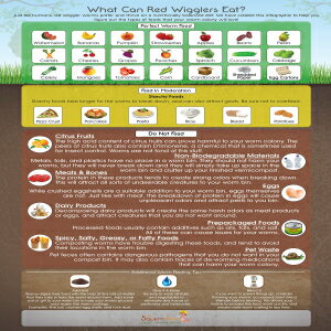 レッドウィグラーは何を食べられるの インフォグラフィック冷蔵庫マグネット ライブレッドウィグラーワーム堆肥化容器用 - ワームファームスターターキットの必須アクセサリー - 子供にも大人…