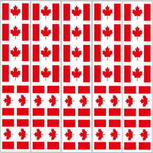 40 個のタトゥー: カナダの国旗、カナダのパーティーの記念品 40 Tattoos: Canada Flag, Canadian Party Favors