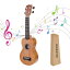 HUAWIND Soprano Ukulele Ukeleles for Beginners Mahogany 21 Inch Hawaiian Starter ukeleles for Kids Adults Child Guitar Ukalalee (Letter)