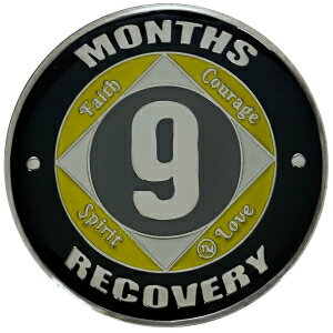 楽天GlomarketNA 9 Months Medallion, Recovery Chip, 12 Step Token, Narcotics Anonymous Coin