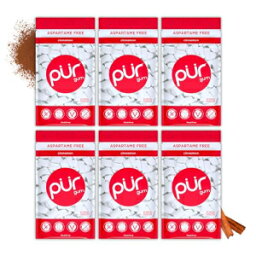 PUR Gum | Aspartame Free Chewing Gum | 100% Xylitol | Natural Cinnamon Flavored Gum, 55 Pieces (Pack of 6)