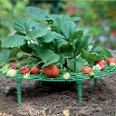 Iceyyyy 5 Pack Strawberry Plant Support - Strawberry Growing Racks with 4 Sturdy Legs - Strawberry Growing Frame Keep Berries Clean