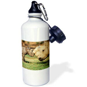 3dRose Africa, Captive Southern White Rhino with young Sports Water Bottle, 21oz, Multicolored