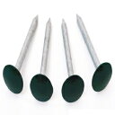 Low Profile Galvanized Survey Stakes - 4 Pack Green