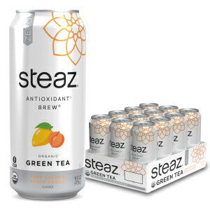 Steaz オーガニック ゼロカロリー ハーフアイスグリーンティー＆ハーフレモネード、16液量オンス（12個パック） Steaz Organic Zero Calorie Half Iced Green Tea & Half Lemonade, 16 Fl Oz (Pack of 12)