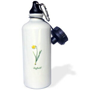3dRose, Botanical Print Bright Yellow Daffodil Early Spring Flower-Sports Water Bottle, 21oz , Multicolored