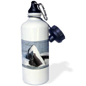 3dRose USA, Alaska Orca whale breaching Sports Water Bottle, 21 oz, Multicolor