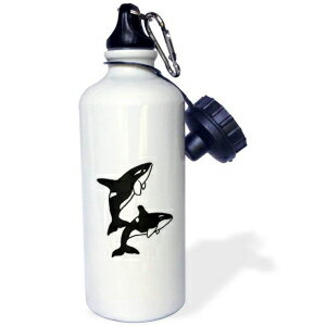 3dRose Fun Killer Whales Leaping in the Air Sports Water Bottle, 21 oz, Multicolored