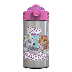 Zak Designs Paw Patrol Skye - Stainless Steel Water Bottle with One Hand Operation Action Lid and Built-in Carrying Loop, Straw Spout is Perfect for Kids (15.5 oz, BPA-Free)