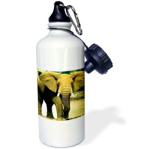 3dRose Panda Bear Sports Water Bottle, 21 oz, White