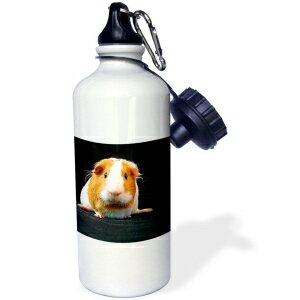 3dRose Pembroke Welsh Corgi Sports Water Bottle, 21 oz, White