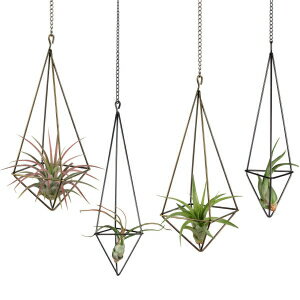 Dahey Hanging Air Plant Holder Unique Tillandsia Hanger Display Himmeli Geometric Planter with Chains Metal Airplant Rack for Indoor Home Decor, 4 Pack, 2 Sizes, Bronze