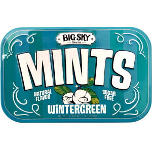 Big Sky Brands Big Sky Sugar Free Wintergreen Mint Candy, 50g Tin - 6 ...