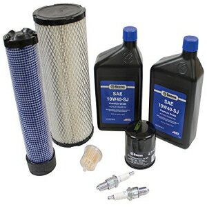 Stens 785-670 Engine Maintenance Kit