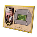 NCAA アイオワ ホークアイズ 3D スタジアムビュー額縁 YouTheFan NCAA Iowa Hawkeyes 3D StadiumViews Picture Frame