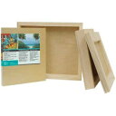 アート オルタナティブ 3/4 インチ ウッド パネル - 4 インチ x 4 インチ Art Alternative 3/4" Wood Panel - 4"x4"