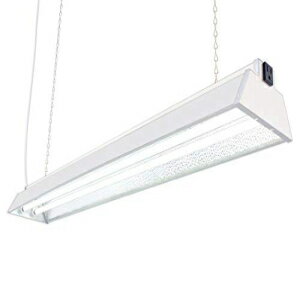 DuroLux DL842N T5 4ե 2 ָ 10000 롼 6500K Υե۸ڥȥ 7 ...
