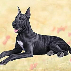 E&S Pets Great Dane (Black) Tabletop Drink Coaster