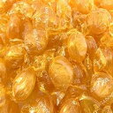 Sunny Island シュガーフリー バタースコッチ ディスク ハード キャンディ、バルク - 1 ポンド袋 Sunny Island Sugar Free...