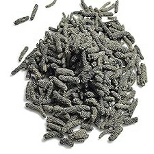 ロングペッパー (Piper longum) 認定オーガニック、プレミアム品質 (1) SANAA ZESTY Long Pepper (Piper longum) Certified Organic, Premium Quality (1)