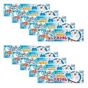 ドラえもん バブルガム 0.6オンス 10個入 ジャパニーズソーダ味 バブルガム ロッテ 忍法 Doraemon Bubble Gum 0.6oz 10pcs Japanese Soda Taste Bubble Gum Lotte Ninjapo