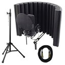sE Electronics X1 S コンプリート スタジオ バンドル sE Electronics X1 S Complete Studio Bundle(2)