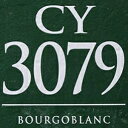 ドライワイン酵母 - CY3079 (8 g) (10 個パック) CellarScience Dry Wine Yeast - CY3079 (8 g) (Pack of 10)