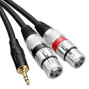 tisino Dual XLR to 3.5mm Stereo Mic Cable, 2 XLR Female to 1/8 Inch Mini Jack Y-Splitter Breakout Lead Microphone Cord - 3.3 feet(2)