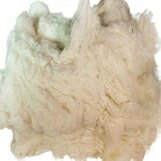 ƹ񻺤ʤεͤʪ/ʡ(1ݥ) Thunder Acres Grown in The USA Raw Cotton Stuffin...