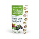 Dr. John's Healthy Sweets Dr. John s Sugar Free Candy, Healthy Lollipops with Ze...