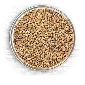 ノース マウンテン サプライ アメリカン ベース モルト - 18 ポンド (2 列ペール エール モルト) North Mountain Supply American Base Malt - 18 Pounds (2-Row Pale Ale Malt) ノース マウンテン サプライ アメリカン ベース モルト - 18 ポンド (2 列ペール エール モルト) North Mountain Supply American Base Malt - 18 Pounds (2-Row Pale Ale Malt)