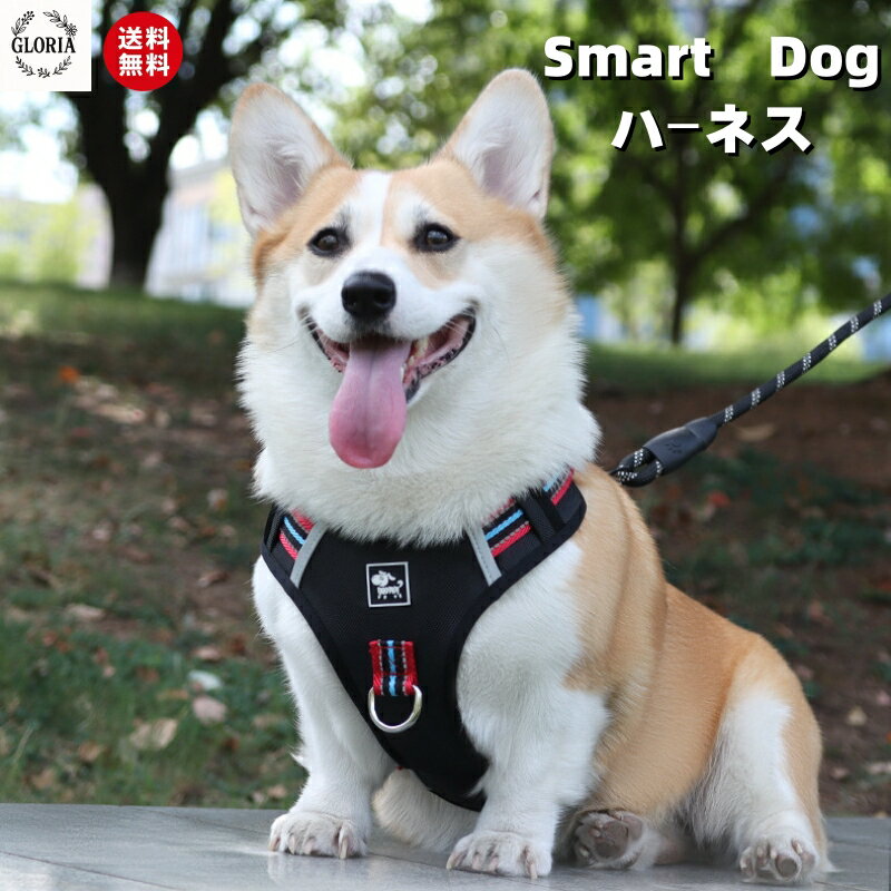 犬ハーネスかわいいおしゃれ負担が少...