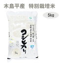 令和5年産 こしひかり 低農薬 5kg 白米 有名ブランド 長野県 木島平産 丸山さん家 特別栽培米 米 ブランド米 5キロ 贈答 お歳暮 御歳暮 高級米 コシヒカリ エコファーマー認定 金賞受賞米 送料無料 美味しいお米 美味しいごはん ノングルテン