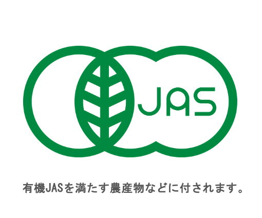 サンプル画像2