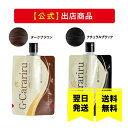 《公式》グロリアス製薬 G-Carariru ジーカラリル（単品）ヘアカラートリートメントヘアカラートリートメント 送料無料 着色トリートメント カラートリートメント 白髪染め 全染 艶髪 うる髪