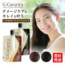 公式 グロリアス製薬 G-Carariru ジーカラリル(単品)ヘアカラー 白髪トリートメントヘアカラートリートメント トリートメントカラー 白髪トリートメント 手が汚れない 着色トリートメント 白髪染め 白髪そめ 白髪ケア 黒髪も染まる 汚れない