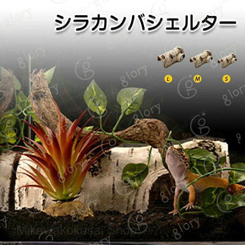 シェルター 白樺シェルター 隠れ家 バスキングスポット 白樺 棲家 トカゲ 亀 両生...