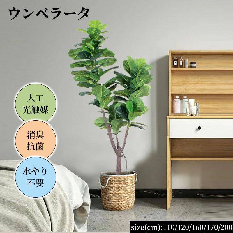 ＜おすすめのアイテム＞ オリーブの木 観葉植物 80/120/150/180/210cm7,880円観葉植物 80/120/140/160/180cm リアルな葉4,観葉植物 ドウダンツツジ 130/150/180/220cm8,リュウケツ...