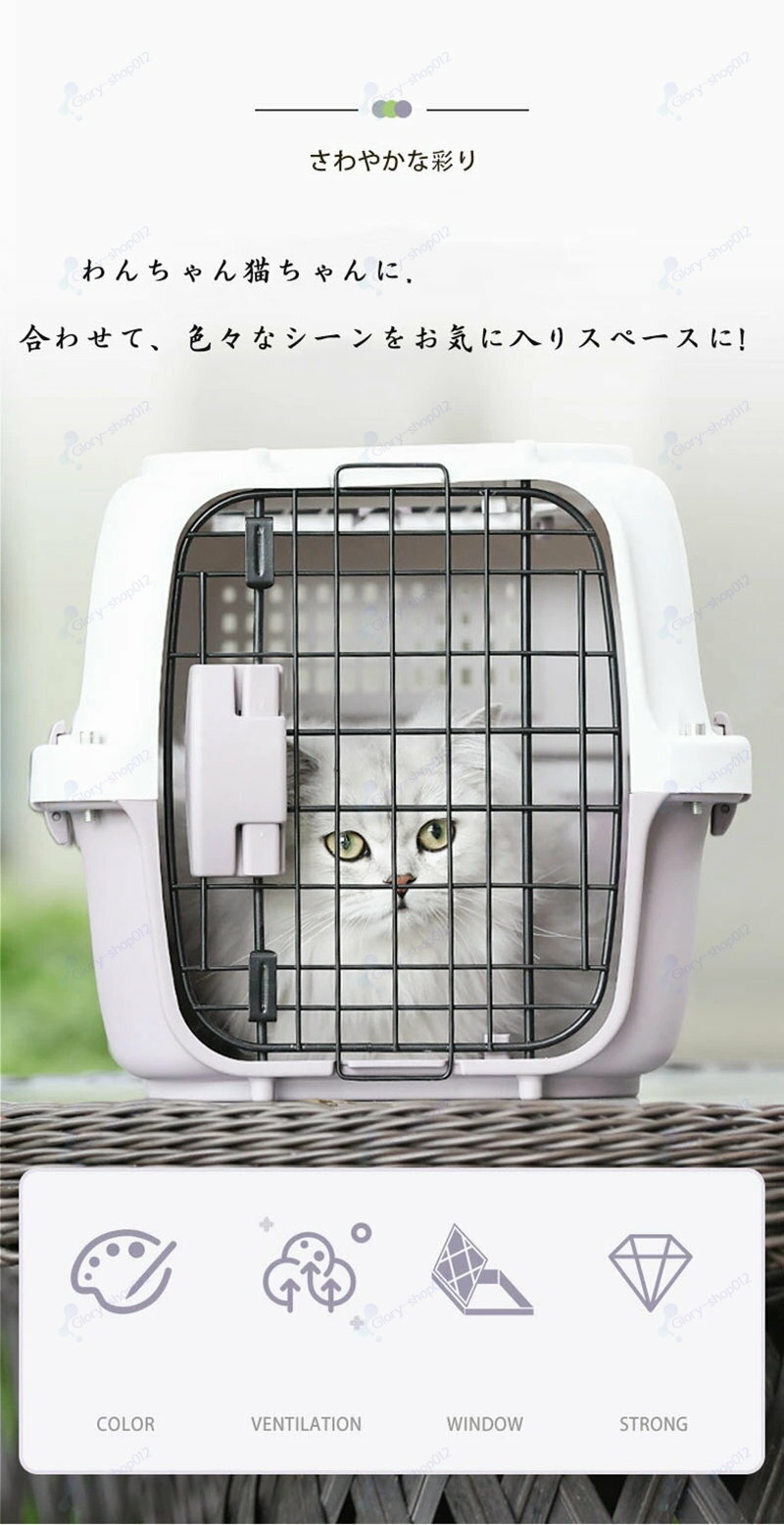 �ڥå��� �ڥåȥ���꡼ ǭ �� ����꡼������ ����꡼�Хå� �� �ϥ���������꡼ �����ȥ�٥륭��꡼ �ڥå� ι�� �±� �ɥ饤�� ���Ե� ���� �̵��� ���� ���� ���� � ��å��� �ץ쥤 �������� �� ������