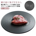 【送料無料】自然解凍 熱伝導 快速 熱伝導 解凍 急速 解凍 24cm プレート 調理器具キッチン用品 快速解凍 急速冷却 瞬間冷却 便利グッズ 肉