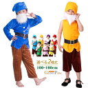 姫と7人の小人たち 変装 袖なし 長袖 パーティー 子供 コスプレ衣装 クリスマス ハロウィン 仮装 子供服 女の子 男の子 キッズ衣装 100 110 120 130 140 150 160cm ピンク 紫色 紺色 青 緑 黄色 オレンジ色 赤