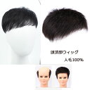 総手植えウィッグ メンズウィッグ男性用 頭頂部ウィッグ 自然人毛 2タイプ 3size メンズかつら 通気性の良 インテリウィッグ 父の日 プレゼント 日常用 ...